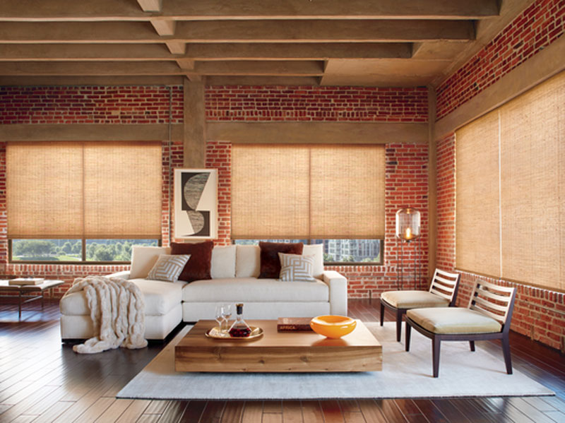 Living Room Shades by Dallas, TX